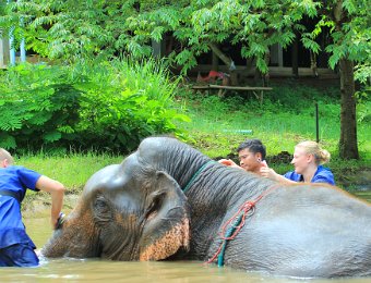 02 - Ban Chang Elephant Park